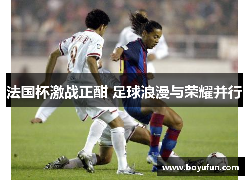 法国杯激战正酣 足球浪漫与荣耀并行